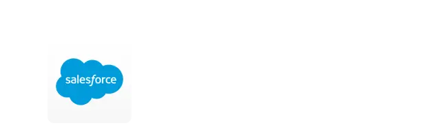 Salesforce icon